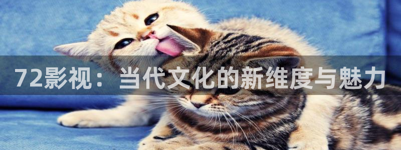 在线免费观看麻豆电影：72影视：当代文化的新维度与魅力