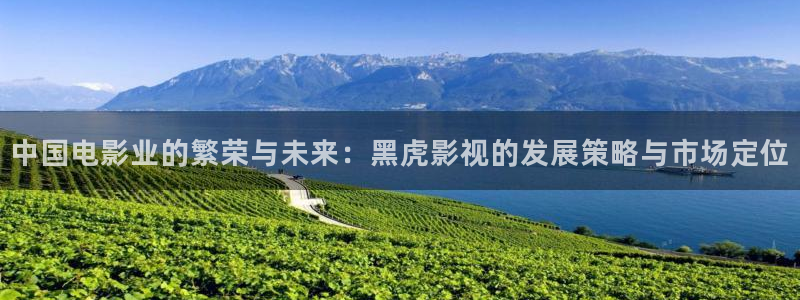 午夜快播在线观看麻豆：中国电影业的繁荣与未来：黑虎影视的发展策略与市场定位