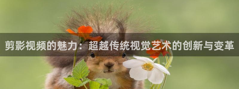 久久麻豆精品电影：剪影视频的魅力：超越传统视觉艺术的创新与变革