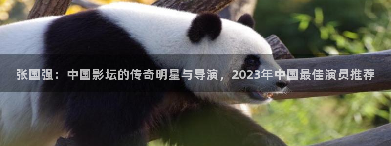 国产麻豆乱片一：张国强：中国影坛的传奇明星与导演，2023年中国最佳演员推荐