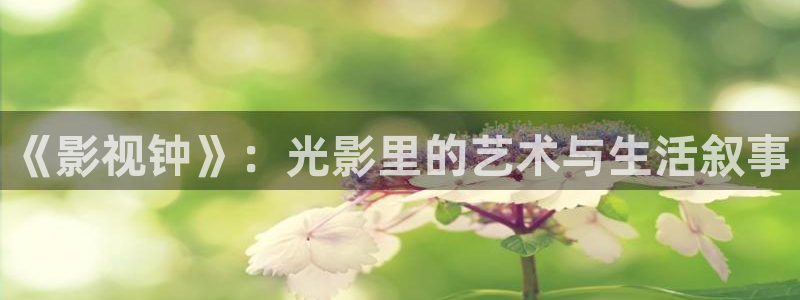 .麻豆：《影视钟》：光影里的艺术与生活叙事
