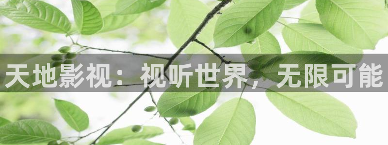 麻豆免费电影网：天地影视：视听世界，无限可能